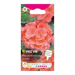 Nasiona pelargonia Salmon F Verve