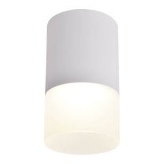 Oprawa natynkowa Tuba 1 x 50 W GU10 mleczno-szara