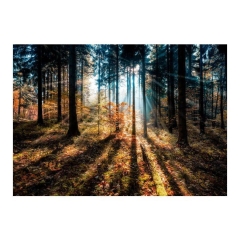 Obraz Glasspik Autumn Sunset 70 x 100 cm
