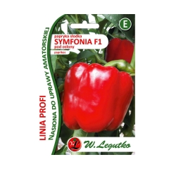 Papryka słodka pod osłony SYMFONIA F1 PROFI nasiona do uprawy profesjonalnej 10 szt. W. LEGUTKO