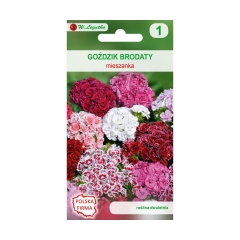 Goździk brodaty o kwiatach pojedynczych MIESZANKA nasiona tradycyjne 1 g W. LEGUTKO