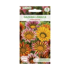 Gazania lśniąca MIESZANKA nasiona tradycyjne 0.2 g W. LEGUTKO