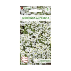 Gęsiówka alpejska BIAŁA nasiona tradycyjne 0.2 g W. LEGUTKO