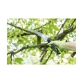 b7a23e3510795ce7e203be218313b3e9