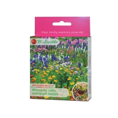 Nasiona kwiatów wabiących motyle 125 g / 25 m2 W.LEGUTKO