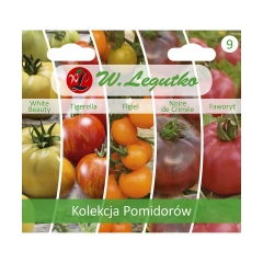 Pomidor kolekcja nasion tradycyjnych W. LEGUTKO