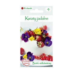 Bratek wielkokwiatowy MIESZANKA nasiona tradycyjne 0.5 g W. LEGUTKO