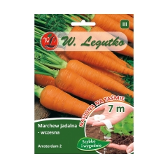 Marchew AMSTERDAM 2 nasiona na taśmie 7 m W. LEGUTKO