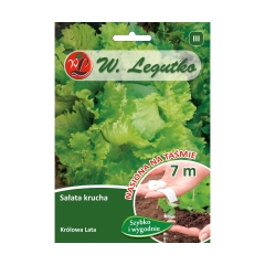 Sałata głowiasta krucha KRÓLOWA LATA nasiona na taśmie 7 m W. LEGUTKO