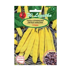Fasola zwykła karłowa TYTANIA nasiona zaprawiane 30 g W. LEGUTKO