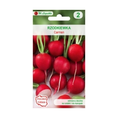 Rzodkiewka CARMEN nasiona tradycyjne 10 g W. LEGUTKO