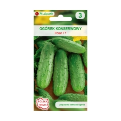 Ogórek konserwowy POLAN F1 nasiona tradycyjne 4 g W. LEGUTKO