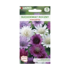 Suchokwiat roczny MIESZANKA nasiona tradycyjne 0.3 g W. LEGUTKO