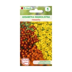 Aksamitka wąskolistna MIESZANKA nasiona tradycyjne 0.5 g W. LEGUTKO