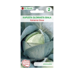 Kapusta głowiasta biała KAMIENNA GŁOWA nasiona tradycyjne 2 g W. LEGUTKO
