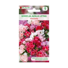 Godecja (Azalia letnia) MIESZANKA nasiona tradycyjne 1 g W. LEGUTKO
