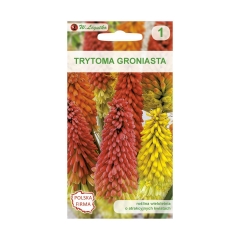 Trytoma (Knifofia) CZERWONO - ŻÓŁTA nasiona tradycyjne 0.1 g W. LEGUTKO