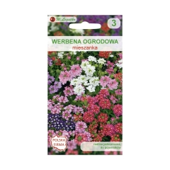 Werbena ogrodowa MIESZANKA nasiona tradycyjne 0.5 g W. LEGUTKO