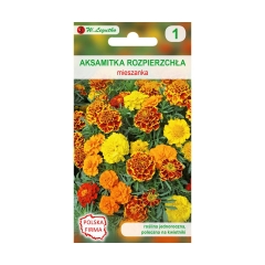 Aksamitka rozpierzchła MIESZANKA nasiona tradycyjne 1 g W. LEGUTKO