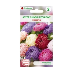 Aster chiński peoniowy MIESZANKA nasiona tradycyjne 1 g W. LEGUTKO