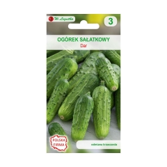 Ogórek gruntowy sałatkowy DAR nasiona tradycyjne 3 g W. LEGUTKO