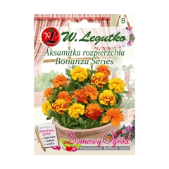Aksamitka rozpierzchła BONANZA SERIES nasiona tradycyjne 0.5 g W. LEGUTKO