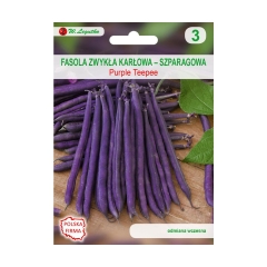 Fasola zwykła karłowa PURPLE TEEPEE nasiona tradycyjne 35 g W. LEGUTKO