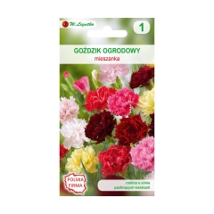 Goździk ogrodowy MIESZANKA nasiona tradycyjne 0.5 g W. LEGUTKO