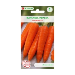 Marchew AMSTERDAM 2 nasiona tradycyjne 5 g W. LEGUTKO