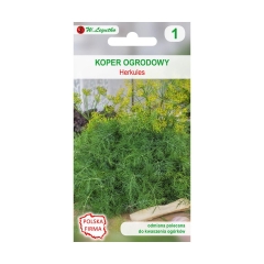 Koper ogrodowy 'Herkules' nasiona W. Legutko