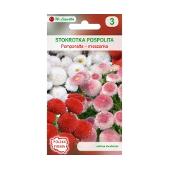 Stokrotka pospolita Pomponette MIESZANKA nasiona tradycyjne 0.1 g W. LEGUTKO