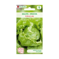 Sałata głowiasta krucha KRÓLOWA LATA nasiona tradycyjne 0.5 g W. LEGUTKO