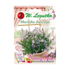 Maciejka dwuroga FIOLETOWA nasiona tradycyjne 2 g W. LEGUTKO