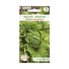 Sałata głowiasta krucha REGINA DEI GHIACCI nasiona tradycyjne 0.5 g W. LEGUTKO