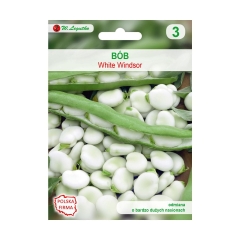Bób WINDSOR BIAŁY nasiona tradycyjne 50 g W. LEGUTKO