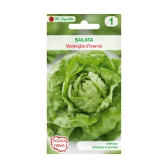 Sałata głowiasta masłowa MERAVIGLIA D'INVERNO nasiona tradycyjne 0.5 g W. LEGUTKO