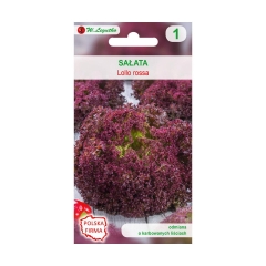 Sałata liściowa LOLLO ROSSA nasiona tradycyjne 0.4 g W. LEGUTKO