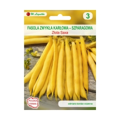 Fasola zwykła karłowa ZŁOTA SAXA nasiona tradycyjne 35 g W. LEGUTKO