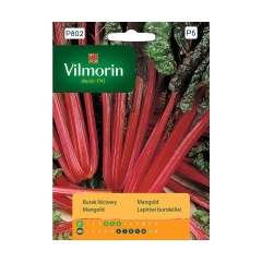 Burak liściowy (Boćwina) RHUBARB CHARD nasiona tradycyjne 10 g VILMORIN
