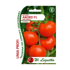 Pomidor nasiona BIO Akord F1 W. LEGUTKO