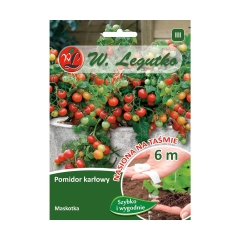 Pomidor gruntowy karłowy MASKOTKA nasiona na taśmie 6 m W. LEGUTKO