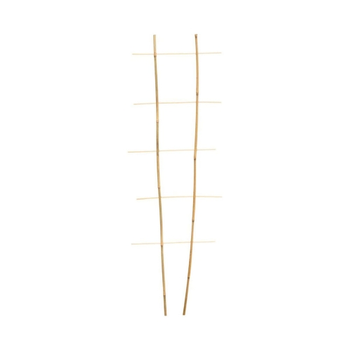 a9e0731c0ffadce5988eed032a29c245