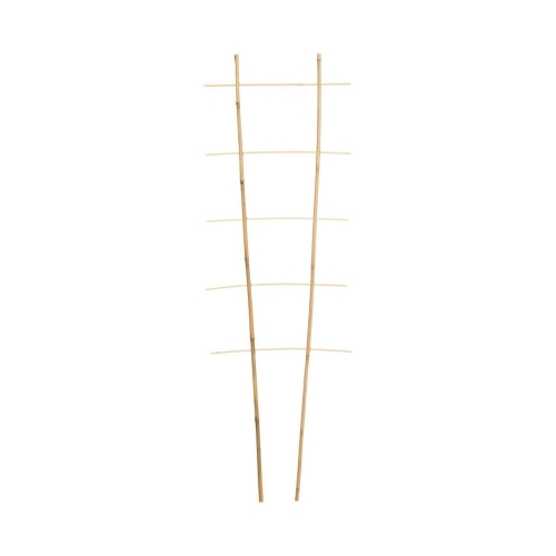1d7c7b6d073dfe1226cf9f81b59e9581