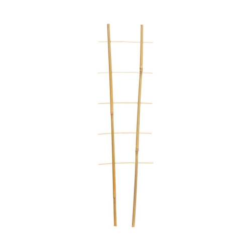 4b5291c6a01c14c9c2c589dd7a248ad5