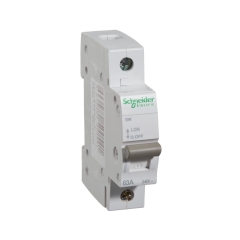 Rozłącznik główny SW - 63 - 1 SCHNEIDER ELECTRIC