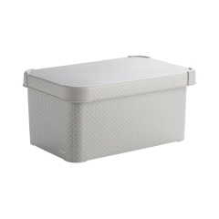 Pojemnik DECO S 6 L 13.5 x 19.5 x 29.5 cm DOTS S CURVER