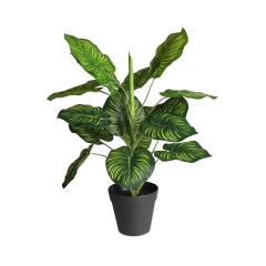 Roślina sztuczna w doniczce MARANTA 45 cm