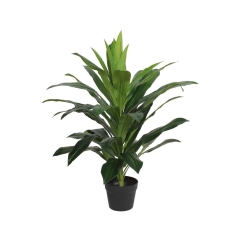 Dracena sztuczna w doniczce 80 cm SPLENDID