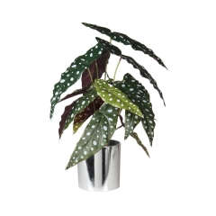 Begonida sztuczna w doniczce 39 cm SPLENDID