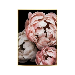 Obraz Peony 50 x 70 cm